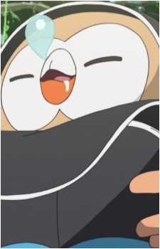 Ash's Rowlet
