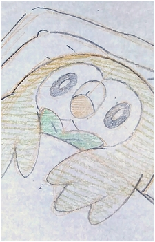 Image 13