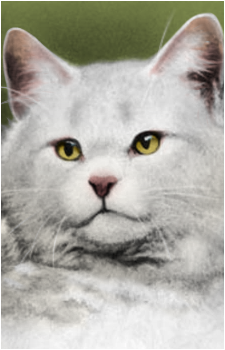 Whitestorm's image
