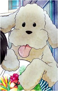 Image 3 Image 3