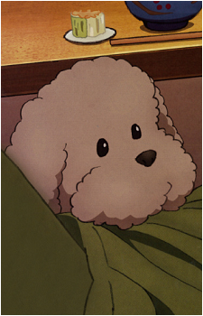 Makkachin