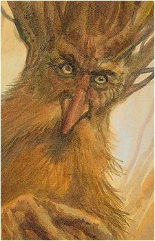 Treebeard's image