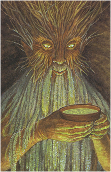 Treebeard