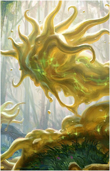 Aeve's image