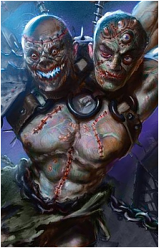 Kraum's image
