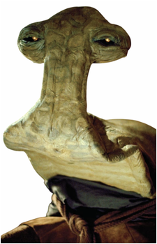 Momaw Nadon's image
