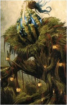 Kurbis's image
