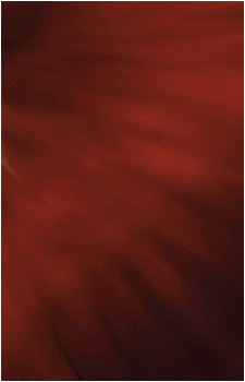 Image 3 Image 3