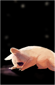 Image 23