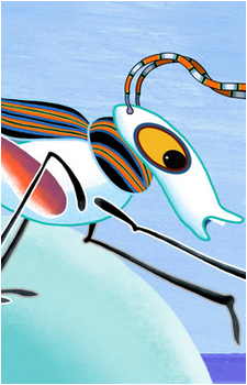 Head Cricket's image