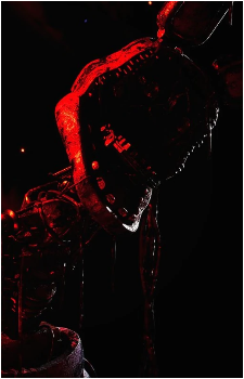 Ignited Bonnie