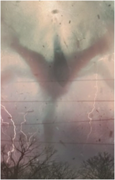 The Mind Flayer