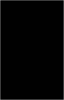 Image 27