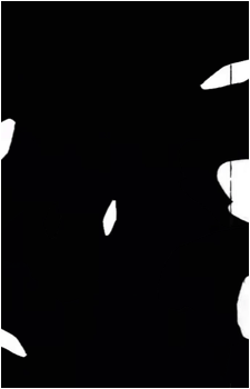 Tokinibara