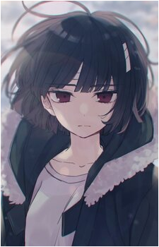 Image 15