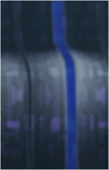 Image 60