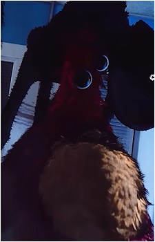 Chum Chompkins
