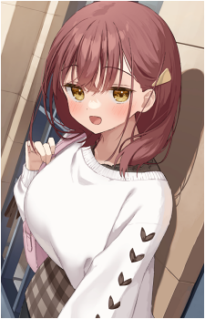 Image 20