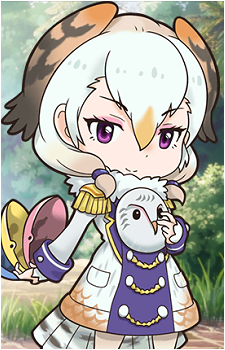 Barn Owl's image
