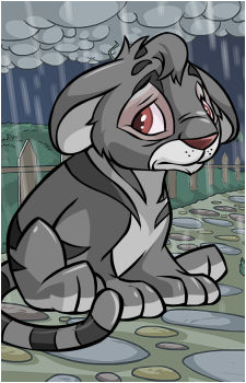 Kougra