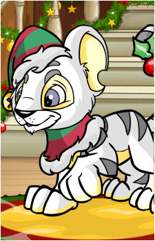 Kougra