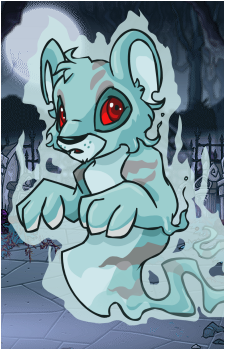 Kougra