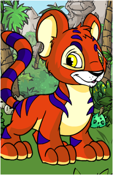 Kougra's image