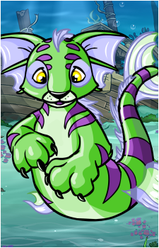 Kougra