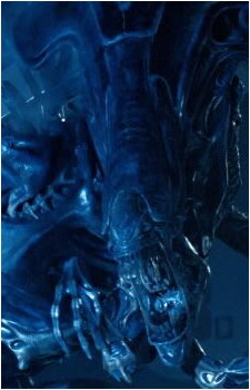 Acheron Queen's image