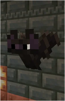 Bat's image