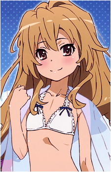 Image 17 of Taiga Aisaka