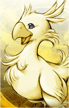 Boco's image