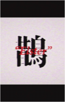 Image 20