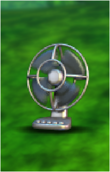 Fan's image