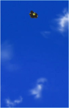Image 20