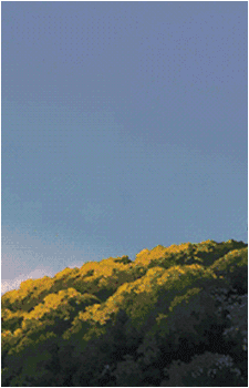 Image 7 Image 7