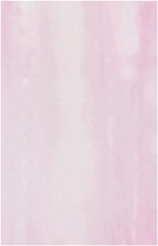 Image 6 Image 6