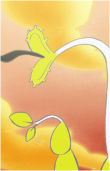 Kaiba (Plant)