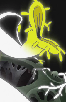 Kaiba (Plant)'s image