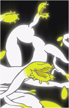 Kaiba (Plant)