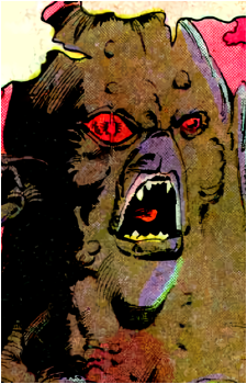 N'Gom's image