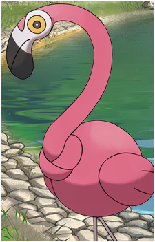 Flamigo's image