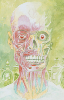 Image 10 Image 10