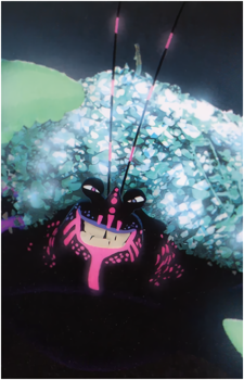 Tamatoa