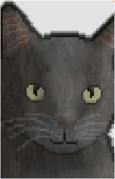 Slip {Cattails}'s image