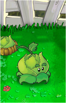 Cabbage-pult's image
