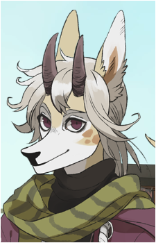 Vander's image