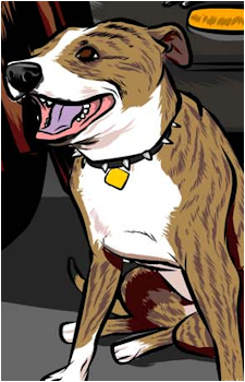 Champ's image