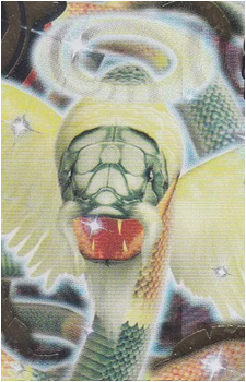 Kaiser Coral's image
