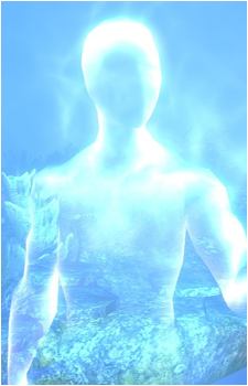The Vestige